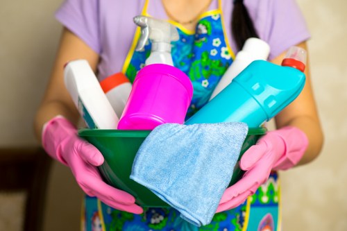 Regular cleaning supplies arranged for daily upkeep