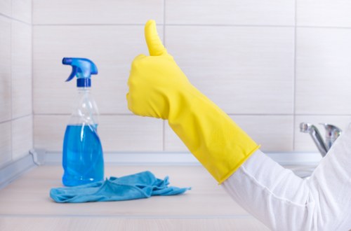 Professional window cleaning service on a bright residential property