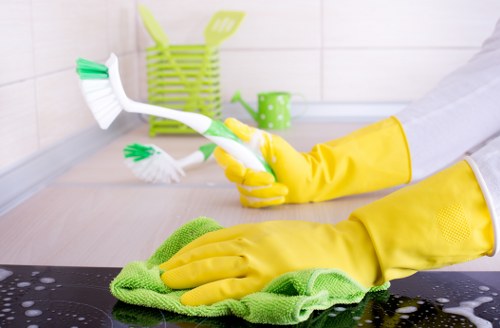 Deep house cleaning supplies in a home setting
