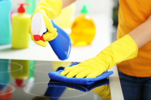 Technician performing deep upholstery cleaning