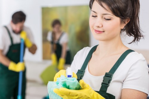 Bathroom cleaning and sanitation essentials