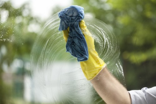Professional deep cleaning supplies and tools