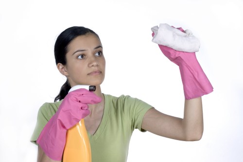 Bathroom deep cleaning and sanitizing surfaces