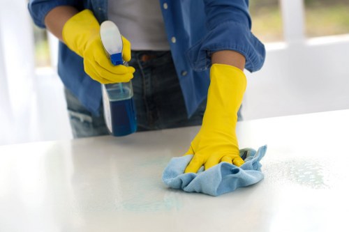 Final move out cleaning walkthrough in a vacant property